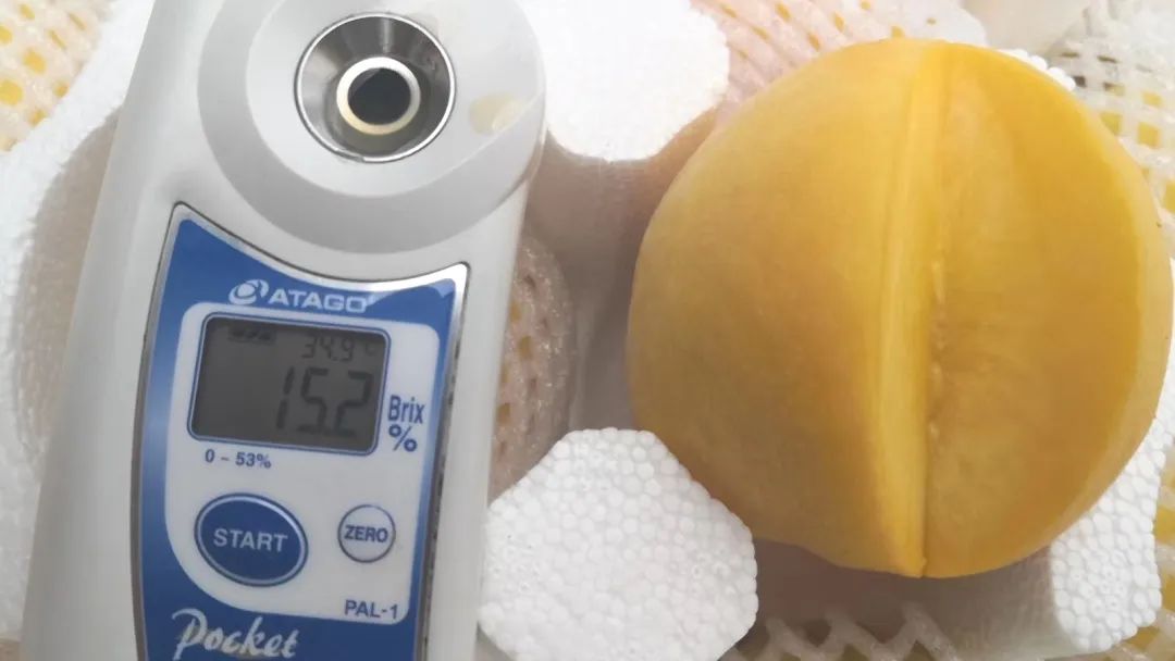 16°香甜,一*爆口**汁,称霸整个夏天的“蜜桃之王”来了