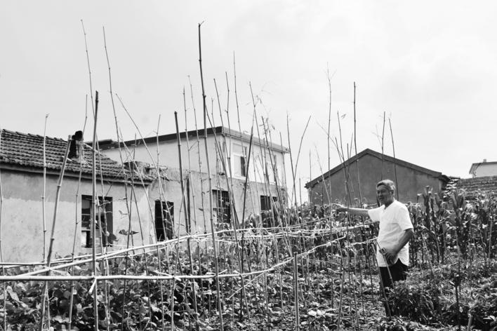 清朝名将聂士成是怎么死的,请讲一下清朝末年爱国将领聂士成