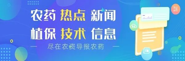 连续三年增长超60%！正邦作物荣获“江西省名牌产品”称号