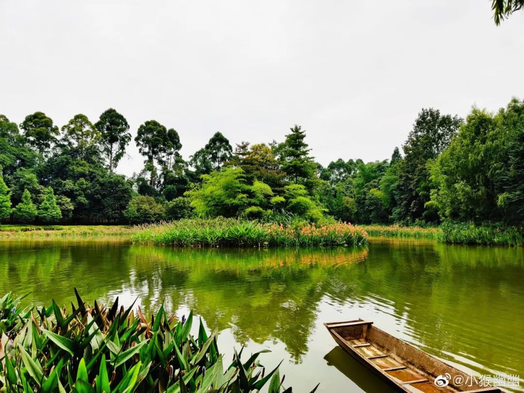 火了火了！成都又新添一个区，地铁10号线直达！夏日纳凉、吃河鲜…3日郊游路线，安排→