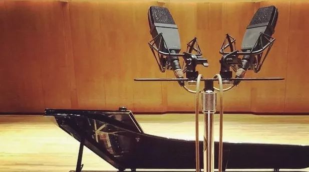 手持电容麦克风是大振膜吗,大振膜电容麦和大振膜麦克风区别