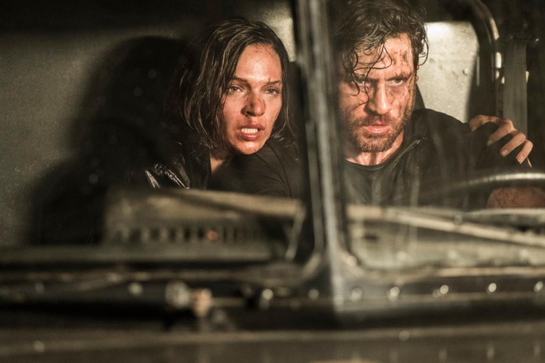 烂番茄100集完整版,烂番茄100集电视剧