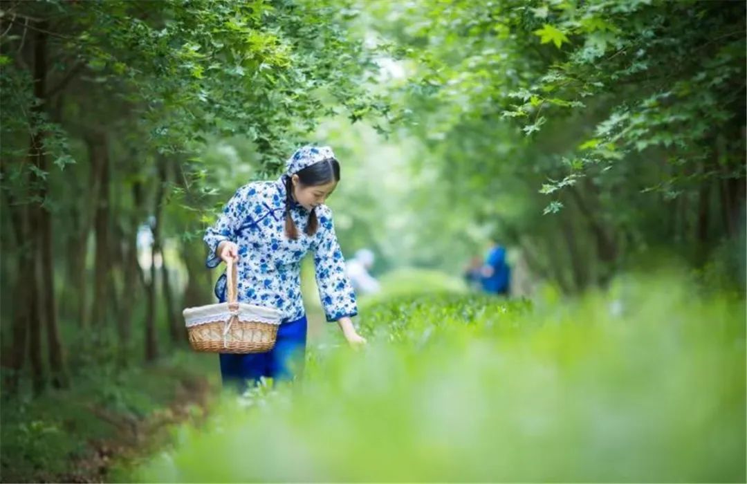 日照最美的区县,日照城市真美