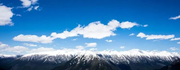 他们不是山神，却是虫草山上的守护神！