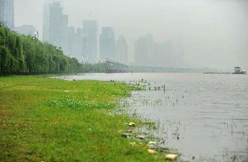 婴儿持续高烧多久要送医院,宝宝高烧持续六七个小时