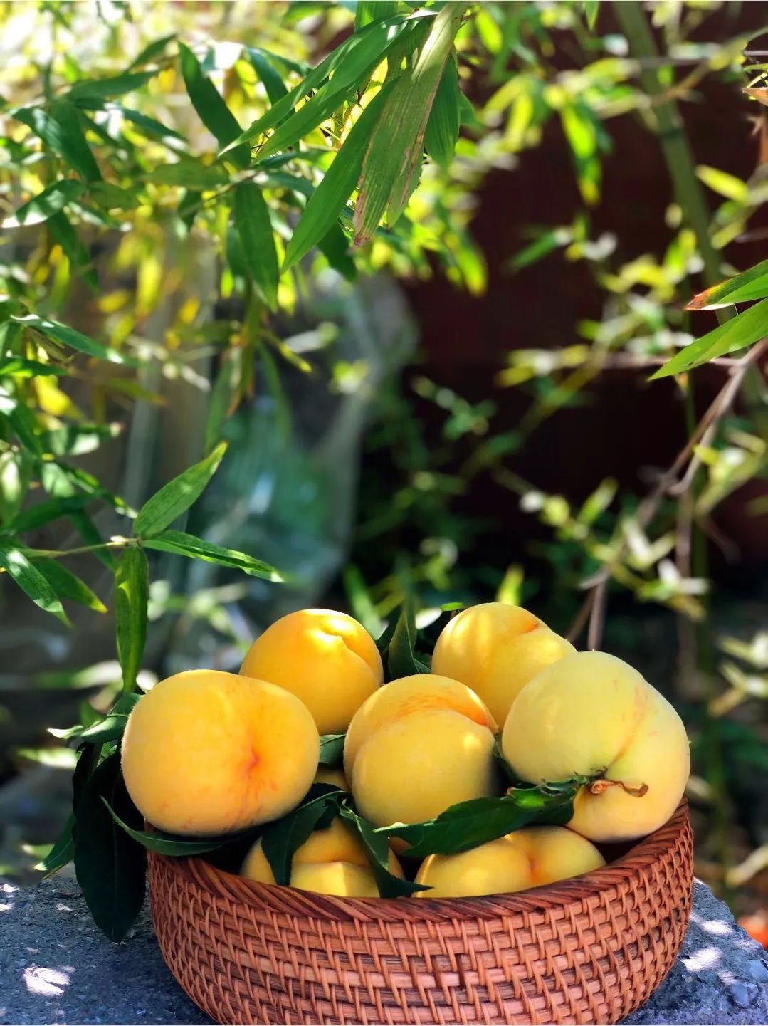 16°香甜,一*爆口**汁,称霸整个夏天的“蜜桃之王”来了