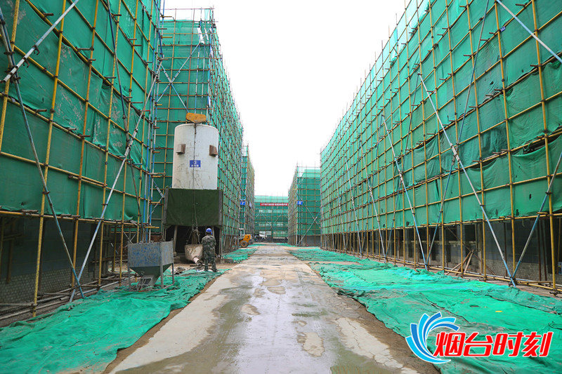 跟着领导参观考察,跟着领导会见政府领导到厂区参观