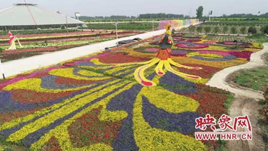 河南源色生态农业公司非法集资案,河南源色生态农业有限公司