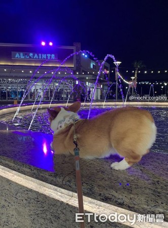 起床拉腿筋,起床拉伸骨头咔咔响