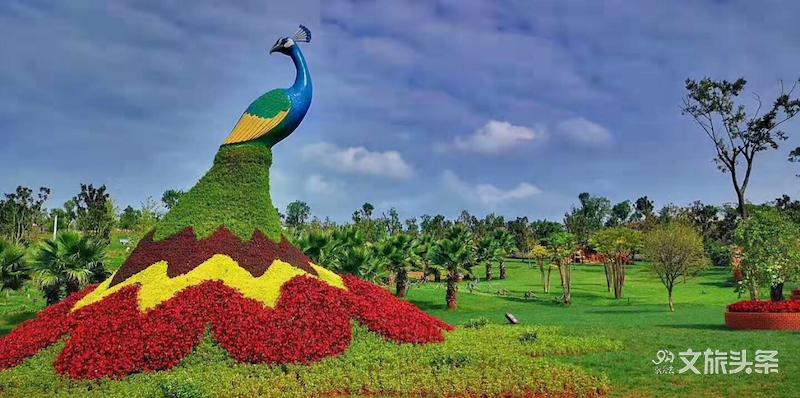 马云打卡衢州网红水亭街,马云弥勒太平湖森林公园