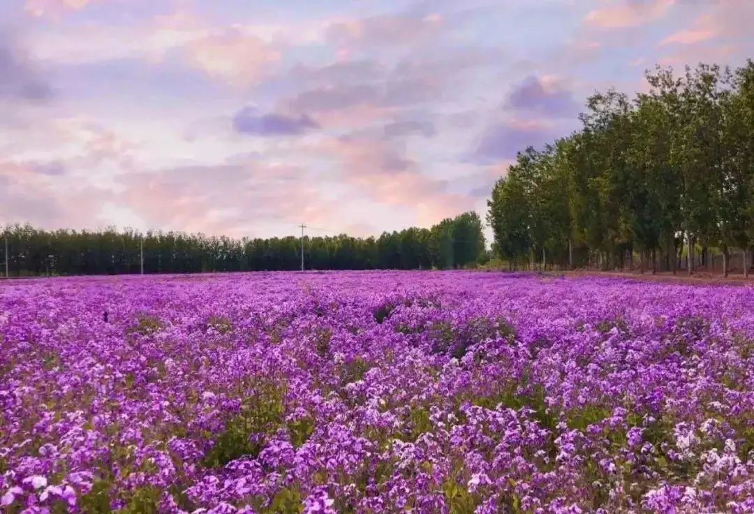 周末亲子好去处无动力乐园,亲子农场适合带孩子去玩的地方