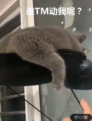 和朋友在ktv玩真心话,和朋友在ktv里玩真心话大冒险