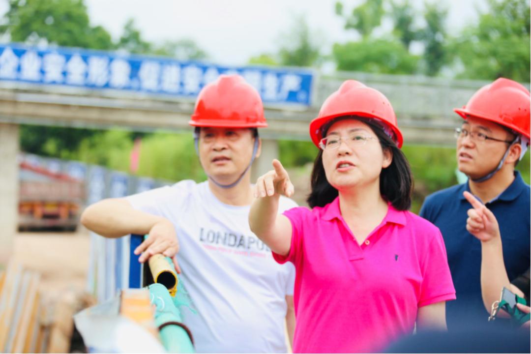 浙江省台州仙居县委书记林虹,2019年仙居县委书记林虹