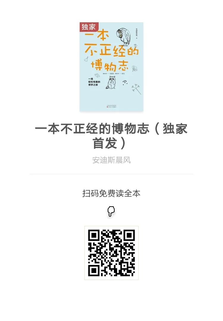 萌死人不偿命的猫,12生肖里为什么没有猫秒懂百科