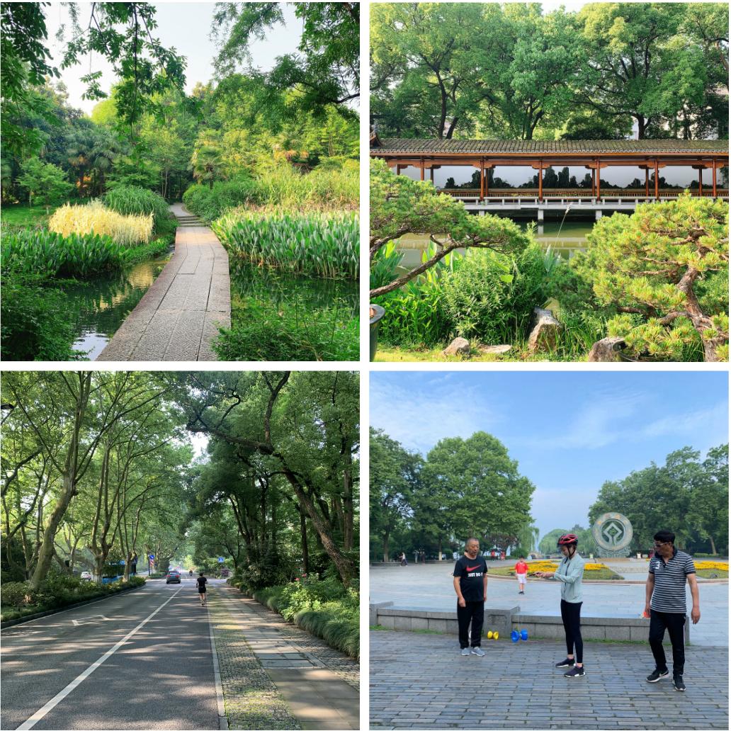 上半年经历了太多不尽人意的事,上半年过得很糟糕