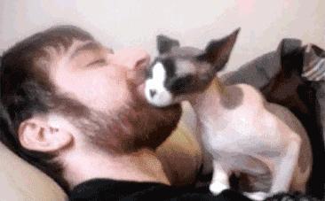 被流浪猫咬到没什么大事吧,不小心被猫咬了一口要打针么