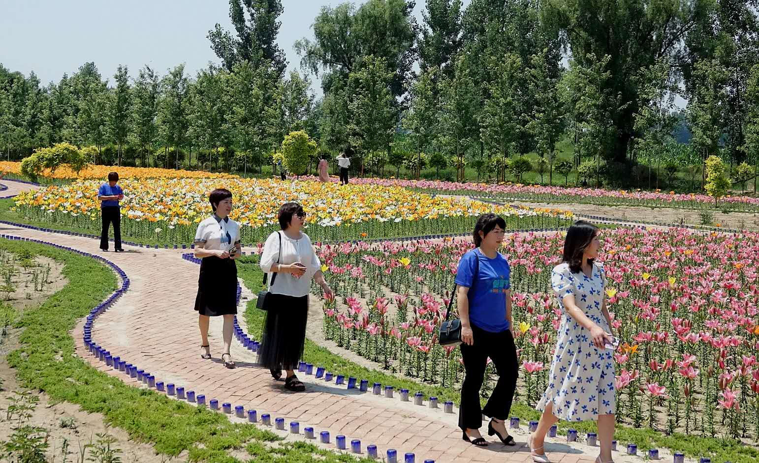 百花绽放风景秀丽,花田小镇风景区