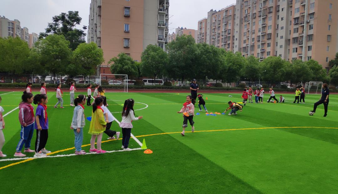 足球体育改革,体育专业协会成立