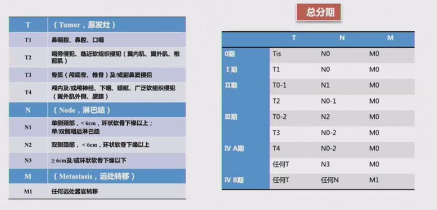 鼻咽癌最新研究进展,鼻咽癌csco指南2021解读