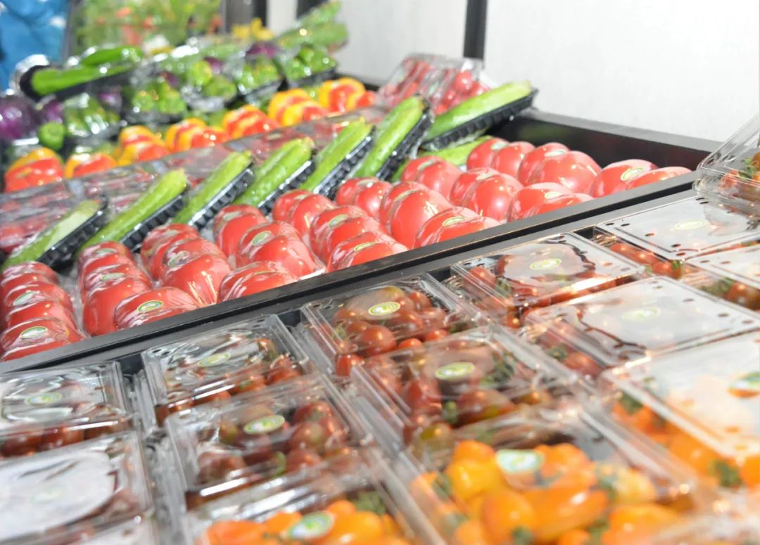 特色产业致富新模式,亿元创业好项目