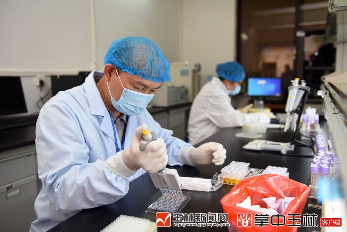 彭炎森：走出国门授艺的王牌兽医