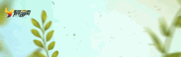 全面停售召回的通知,哪些药品全国停售并且紧急召回