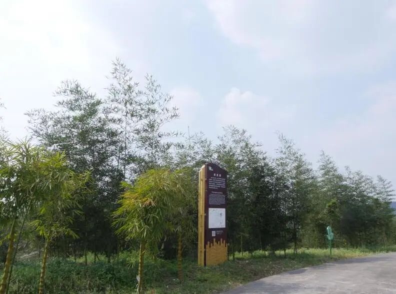 竹山旅游线路大全,竹山周边一日游旅游景点推荐