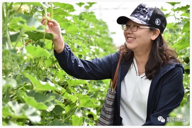 中国作家走进昭通采风活动,中国作家走进昭通