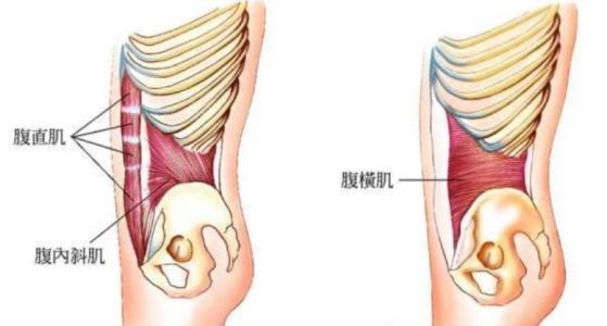 【体育保健康复委员会】束腰？还是健身届的“裹脚布”？
