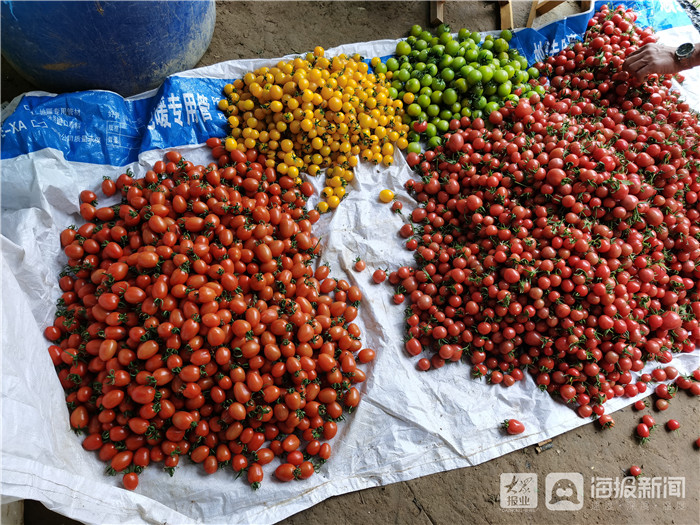 东营区牛庄镇谭家村规划图,东营市东营区牛庄镇谭家村