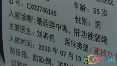 云南楚雄野生菌中毒,楚雄州野生菌中毒