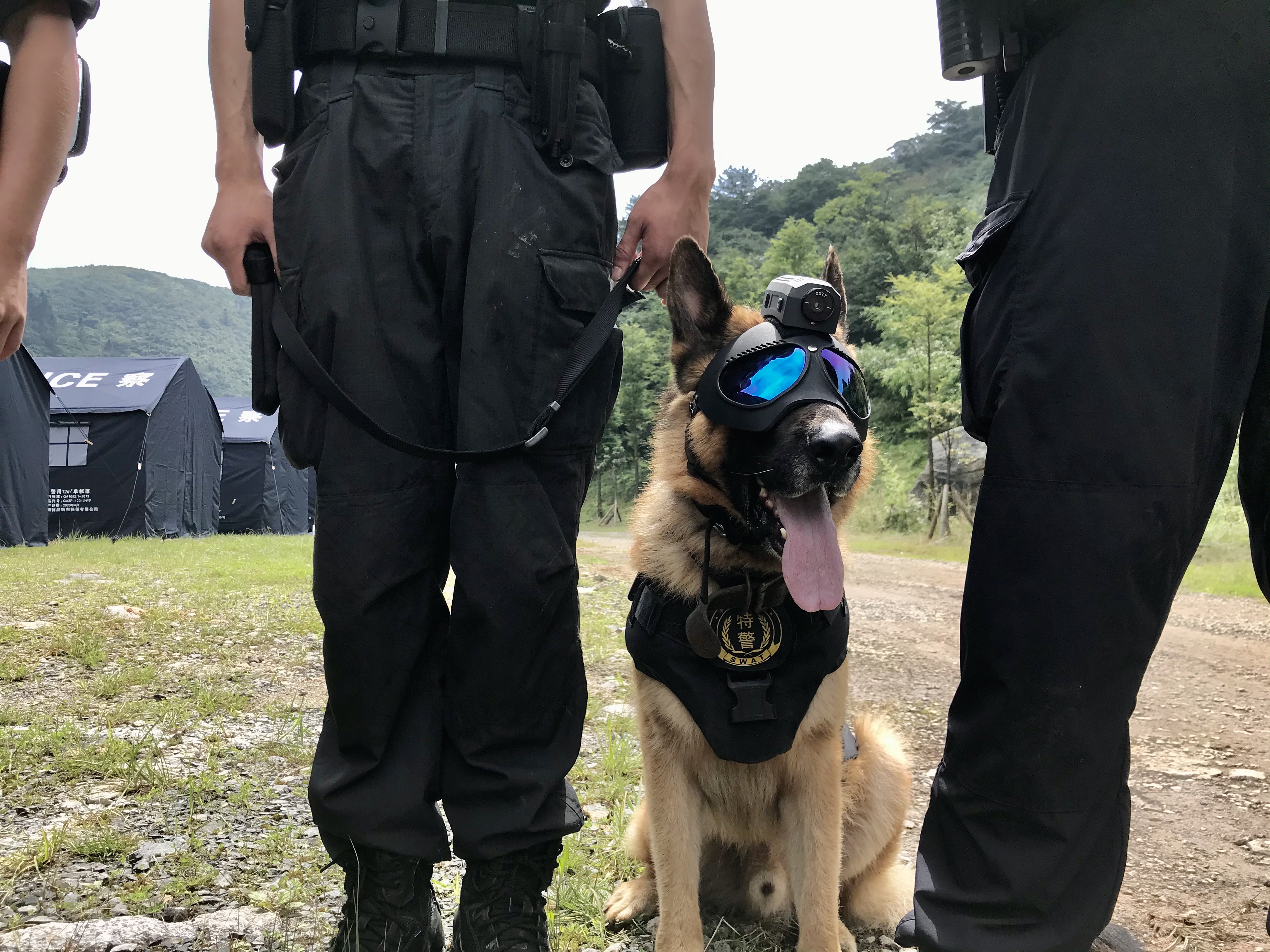 长沙特警五一广场列队,长沙特警大出动