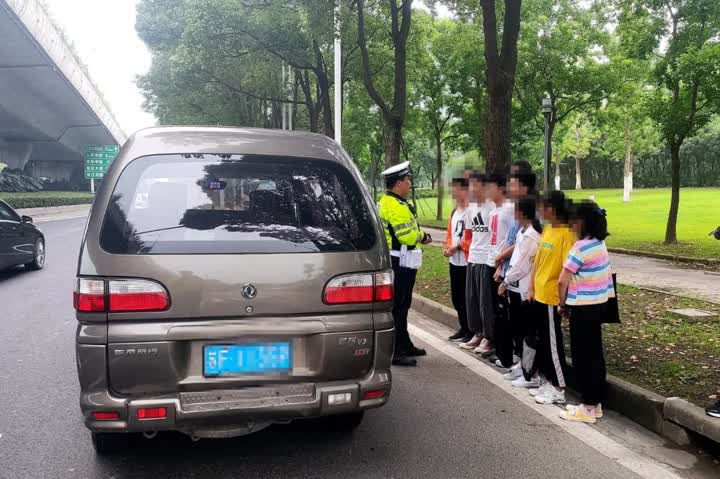 南通发现流浪狗应该找哪个部门,鹿城滨江开展流浪犬整治行动
