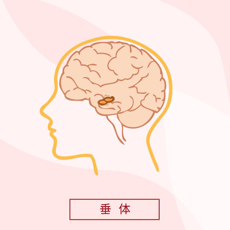 47岁女士以为当奶奶累得更年期提前，一查竟是脑子里长了个“雪人”