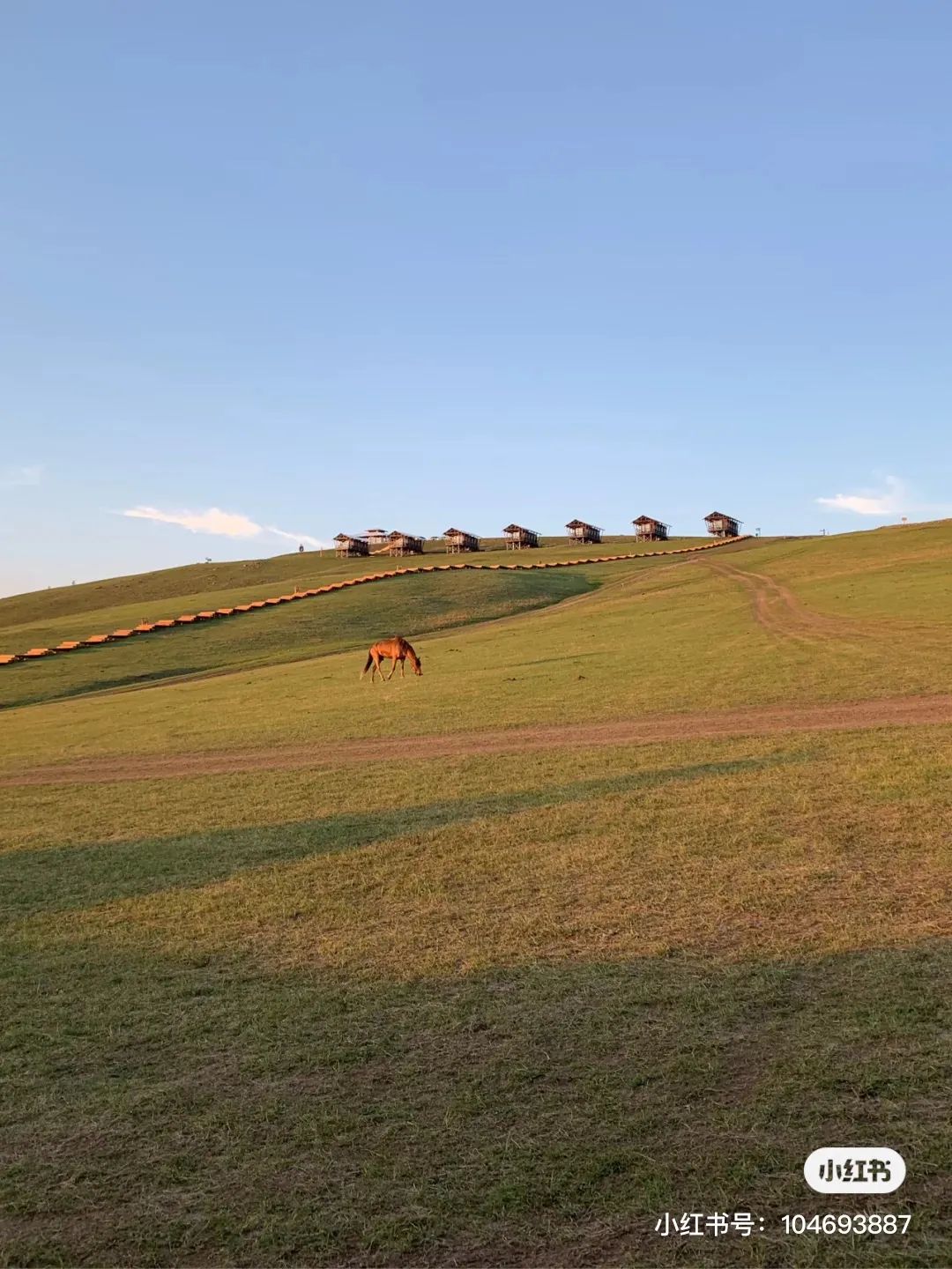 世界草原野奢帐篷酒店,为什么有人愿意住民宿