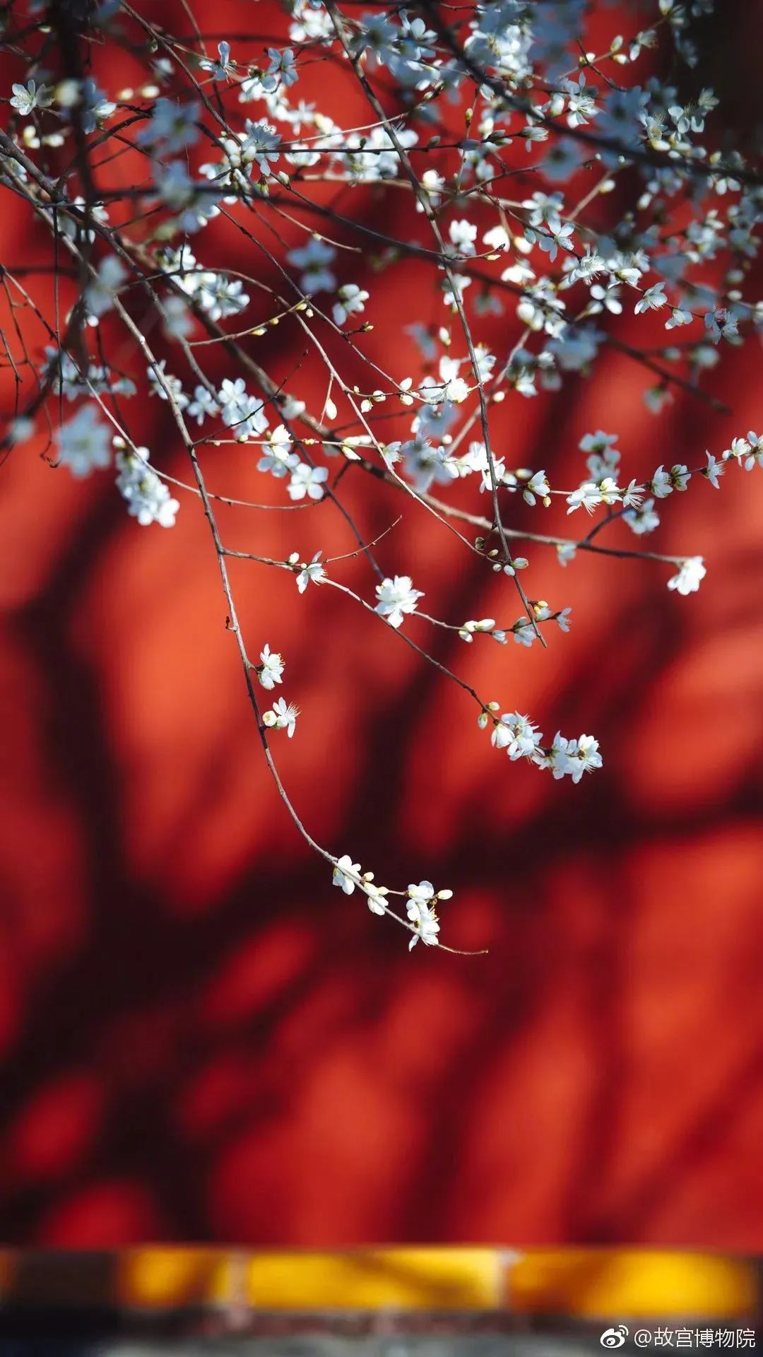 把故宫红、青花蓝捧在手心，以“银杯”畅饮