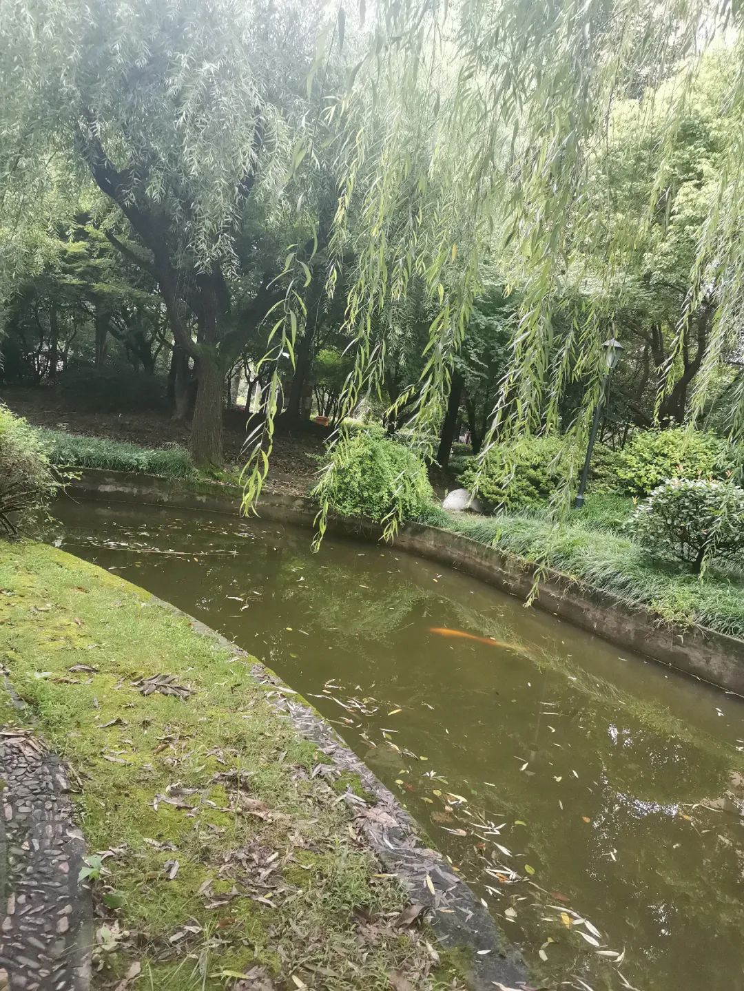 杭州失踪女子案破案遭前妻家暴,杭州女子失踪案嫌犯曾对前妻家暴