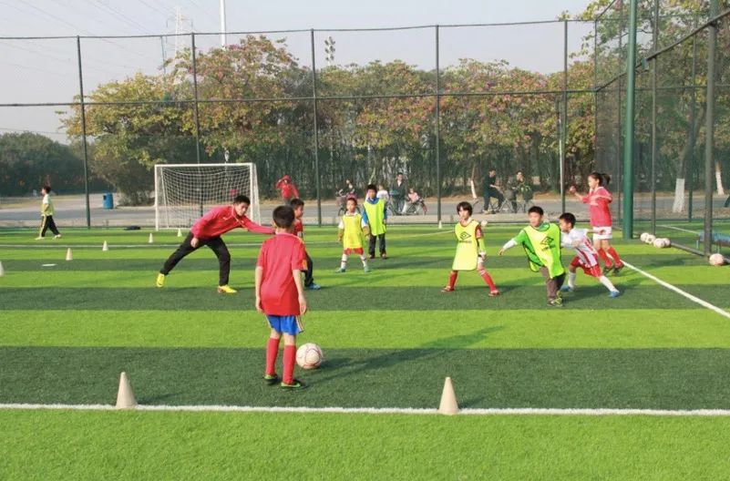 广东省青少年体育社会组织,黄埔区强人青少年体育俱乐部