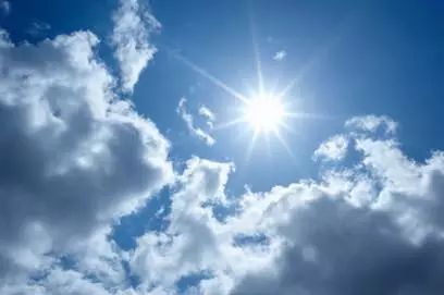 临安天目山小香薯粉糯香甜,天目山小香薯新鲜现挖