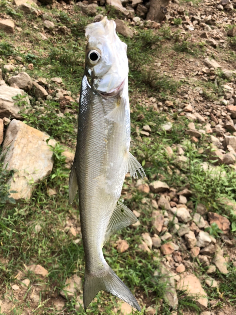 雷打滩水电站钓棚图片,雷打滩水电站钓鱼棚电话