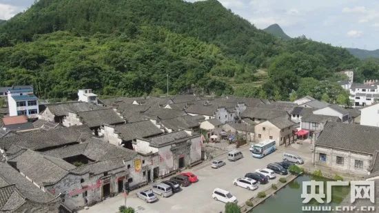 浙江省浦江新闻,上海闵行区浦江镇媒体曝光