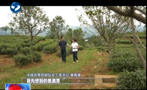 行与不行的感悟,行与不行之间意味着什么