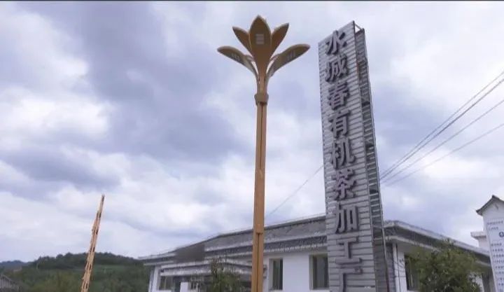 行与不行的感悟,行与不行之间意味着什么