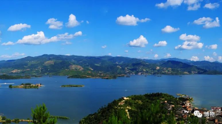 银耳在解放前的价格,银耳的巅峰之作