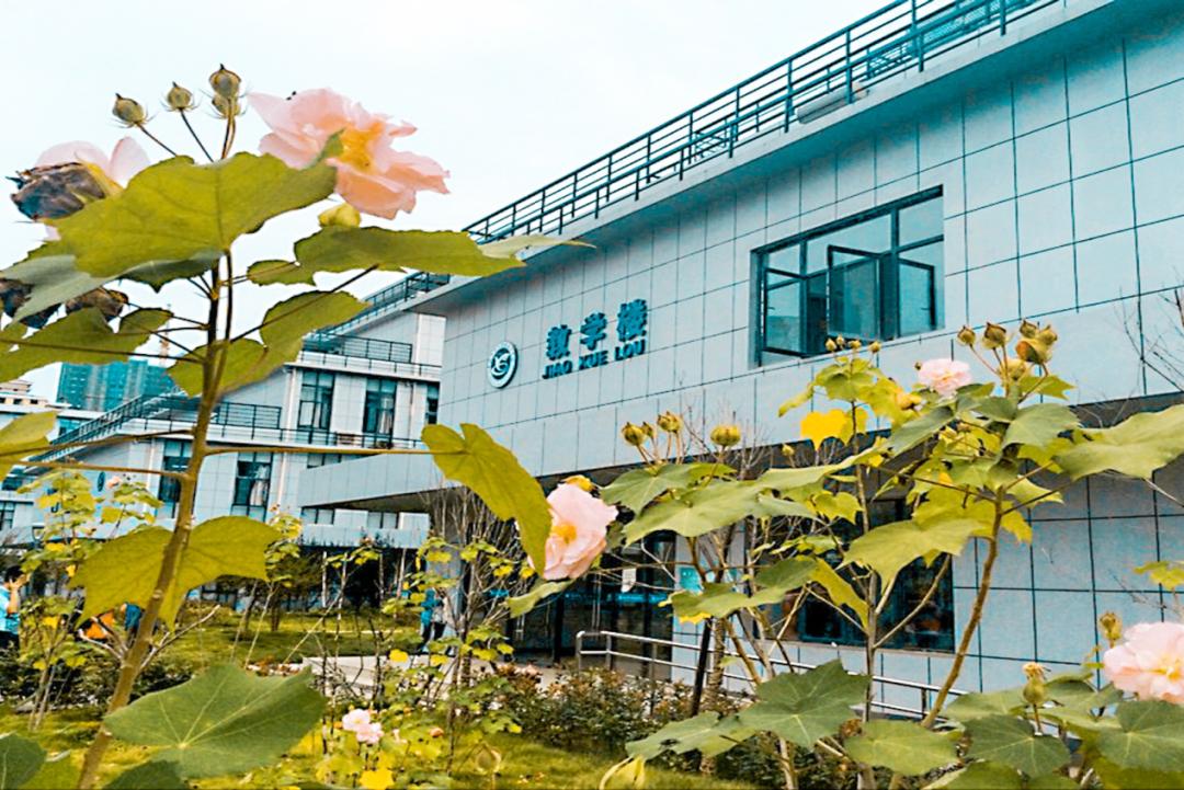 武汉这所学校颜值真高宛如仙境,武汉市学校景象