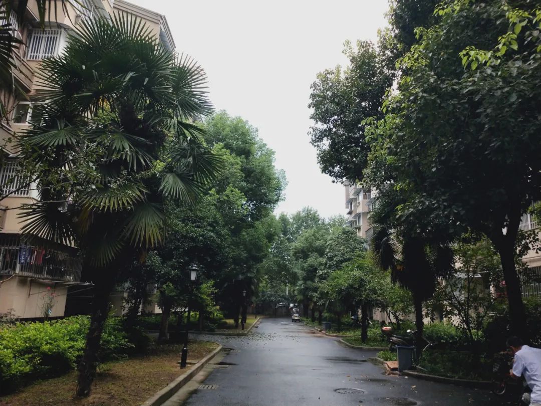 福州鼓楼小学学区房哪个性价比高,南京鼓楼学区房2004年房价