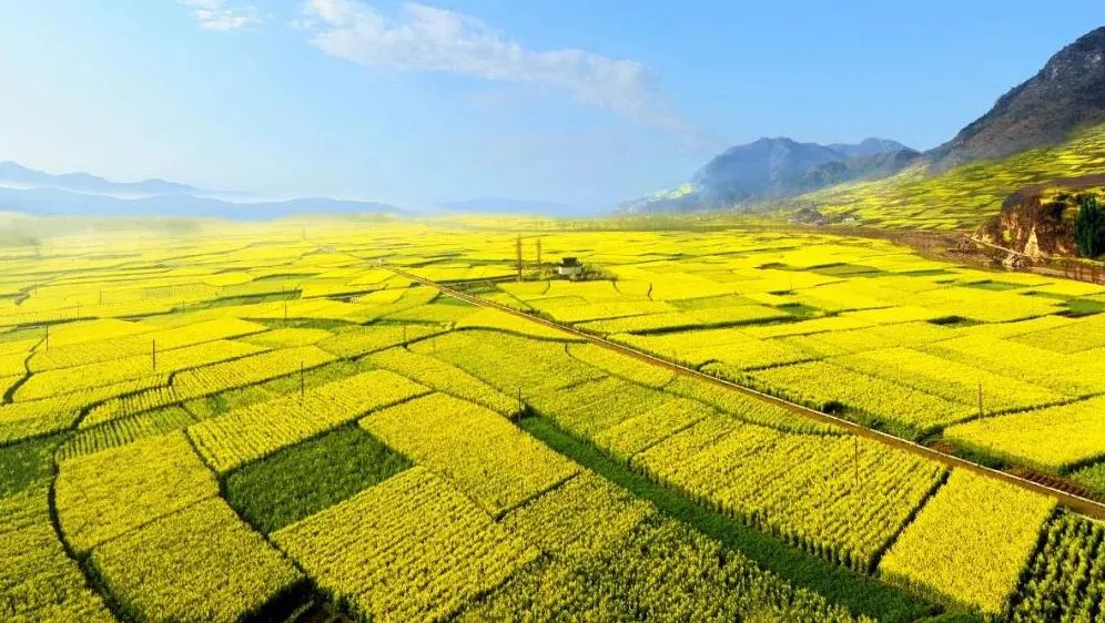 陕西省西安市大唐芙蓉园,西安大唐芙蓉园景观