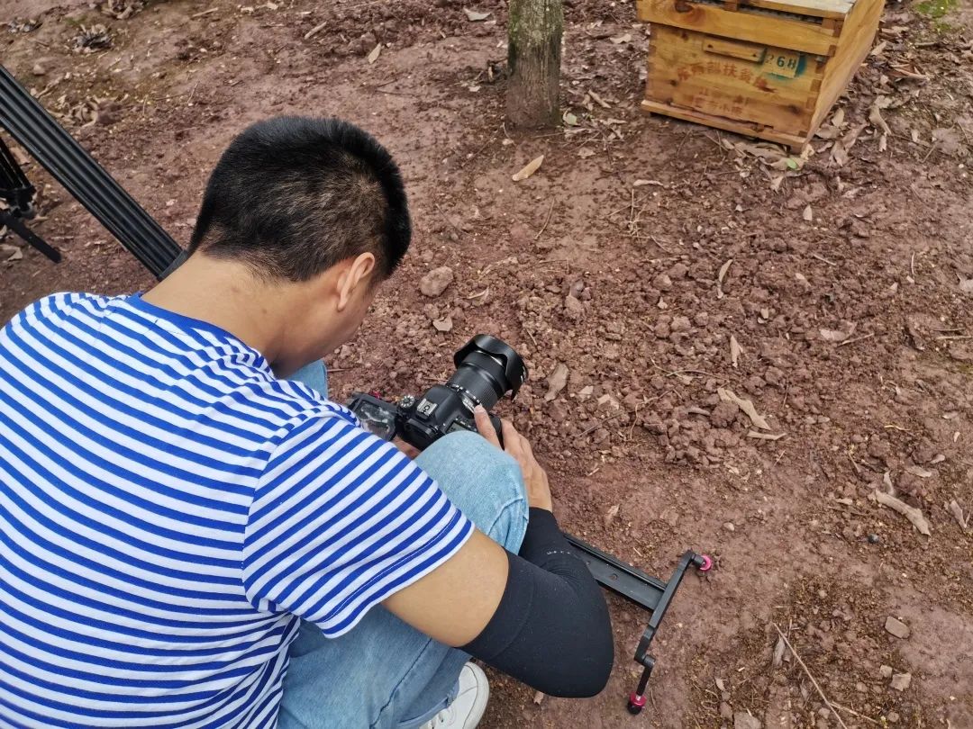 江山蜂产品,江山养蜂技术