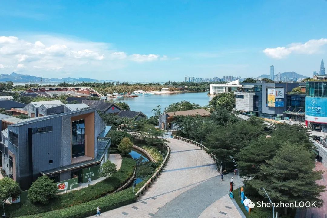 LOOK|欢乐海岸·第9年