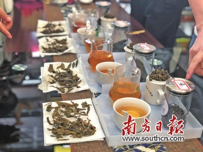 全民参与东莞成就“爱茶之都”